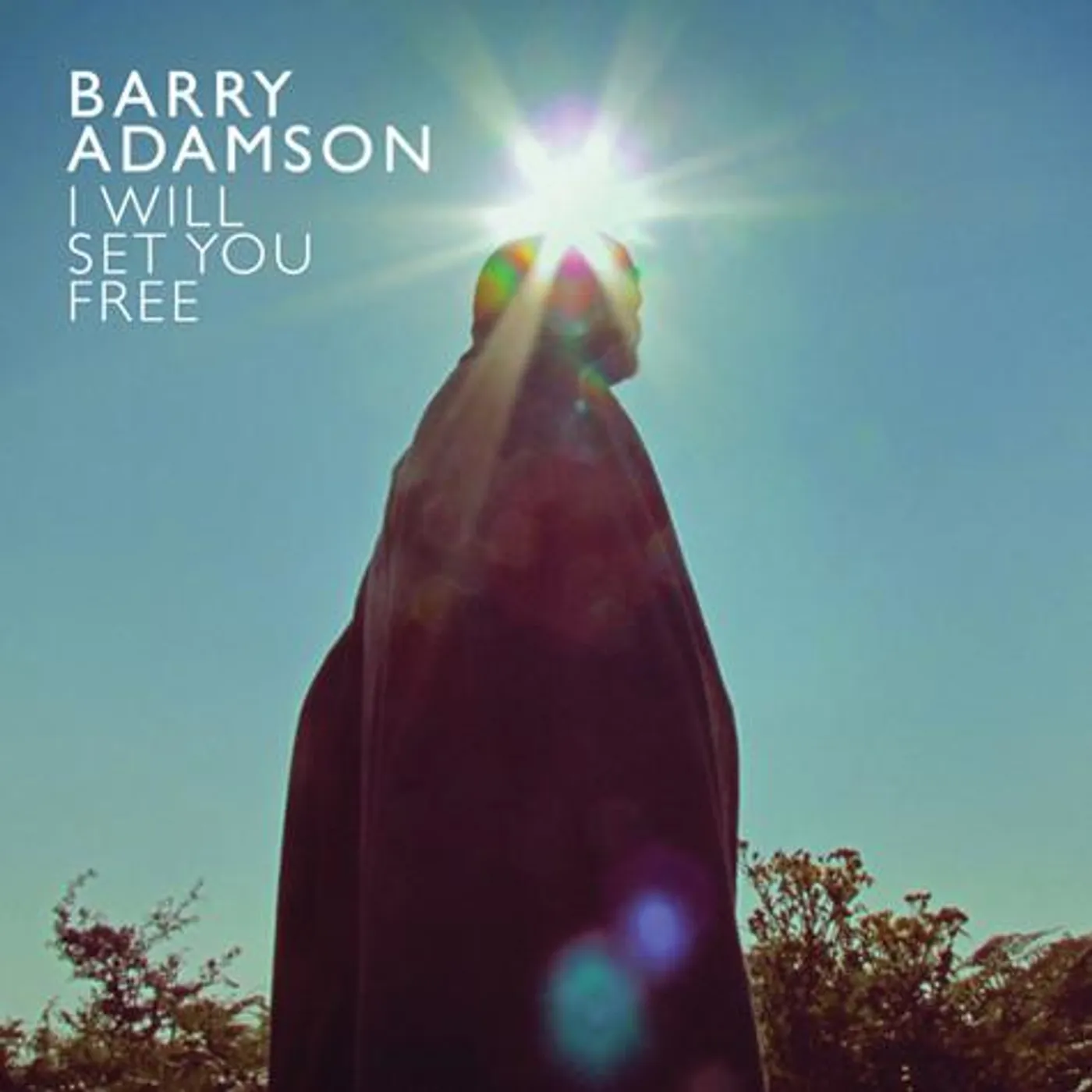 Barry Adamson I WILL SET YOU FREE CD