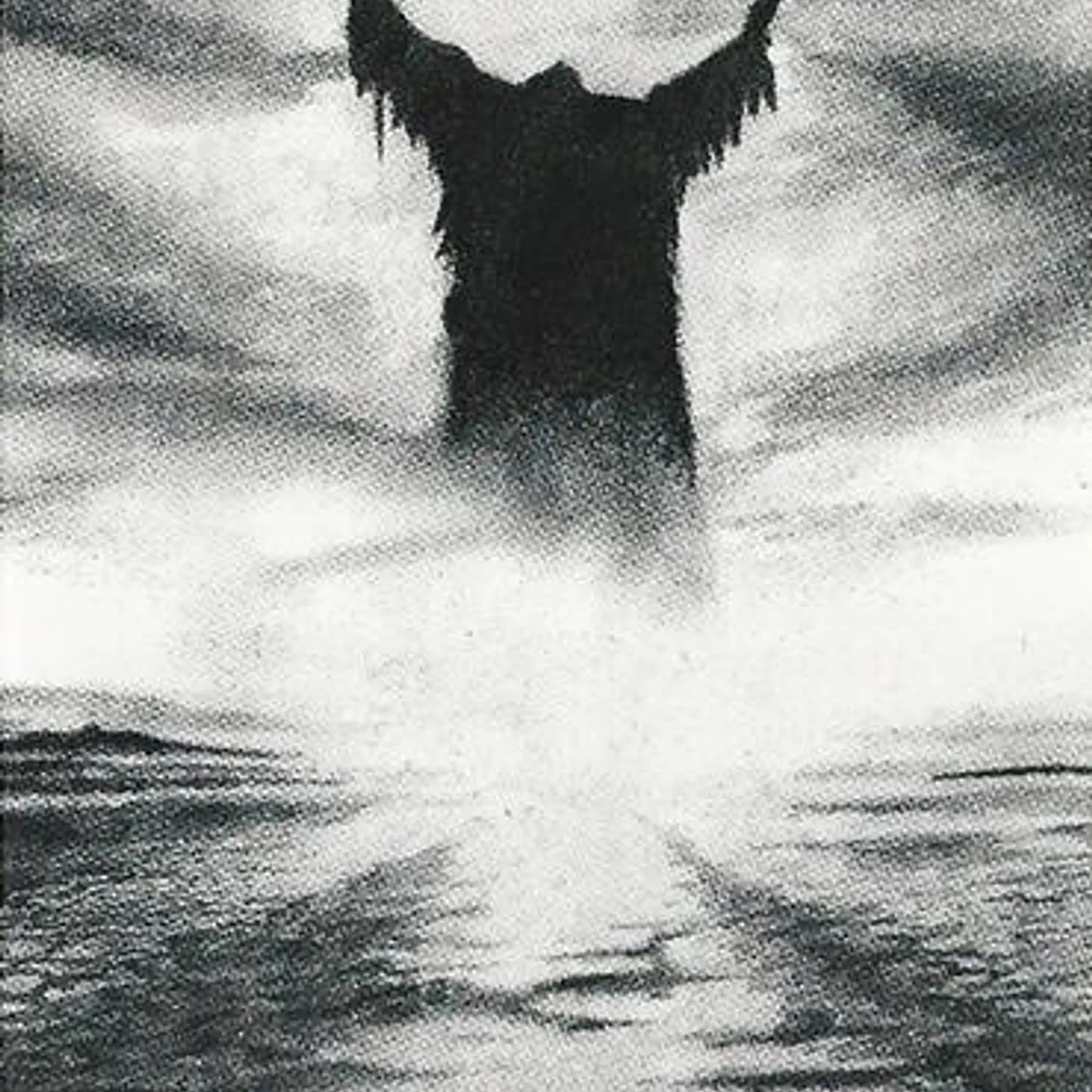 Hate Forest GATES CD