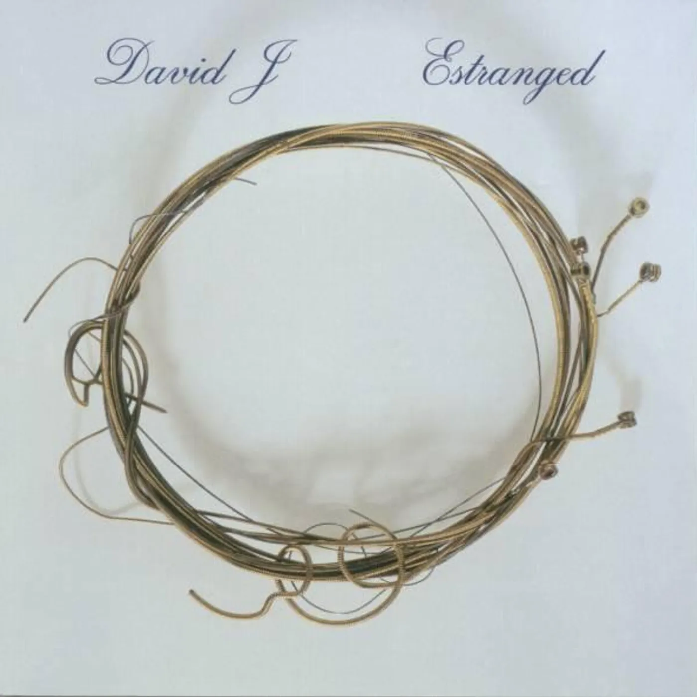 David J ESTRANGED CD
