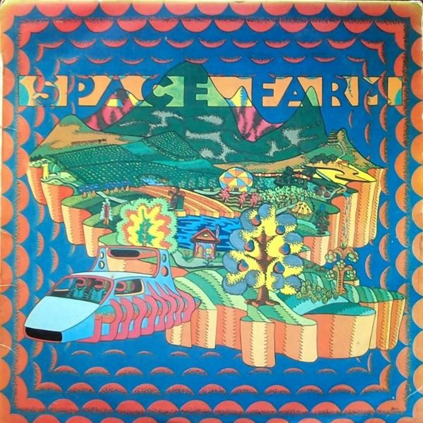 Space Farm Vinyl Record
