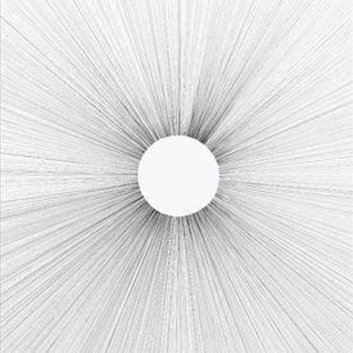 AUN Full Circle Vinyl Record