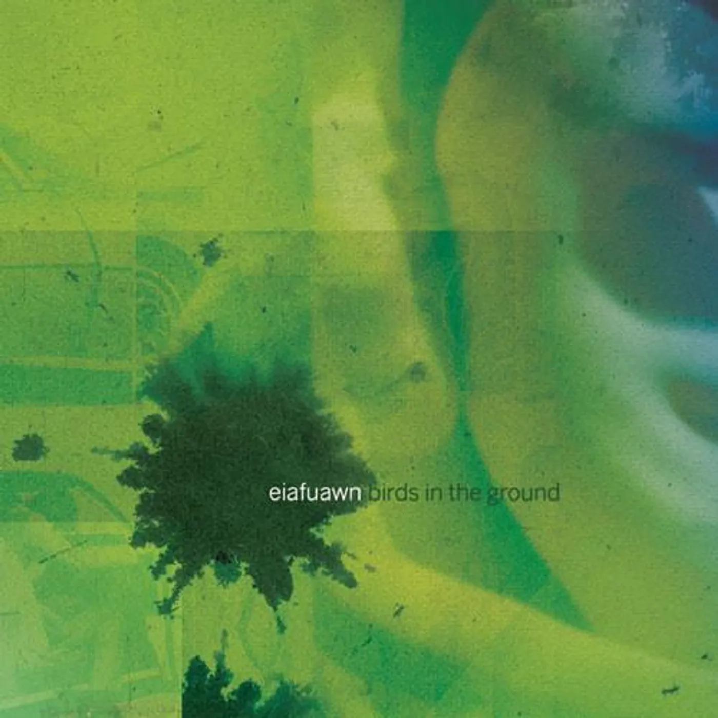 Eiafuawn Birds In The Ground Vinyl Record