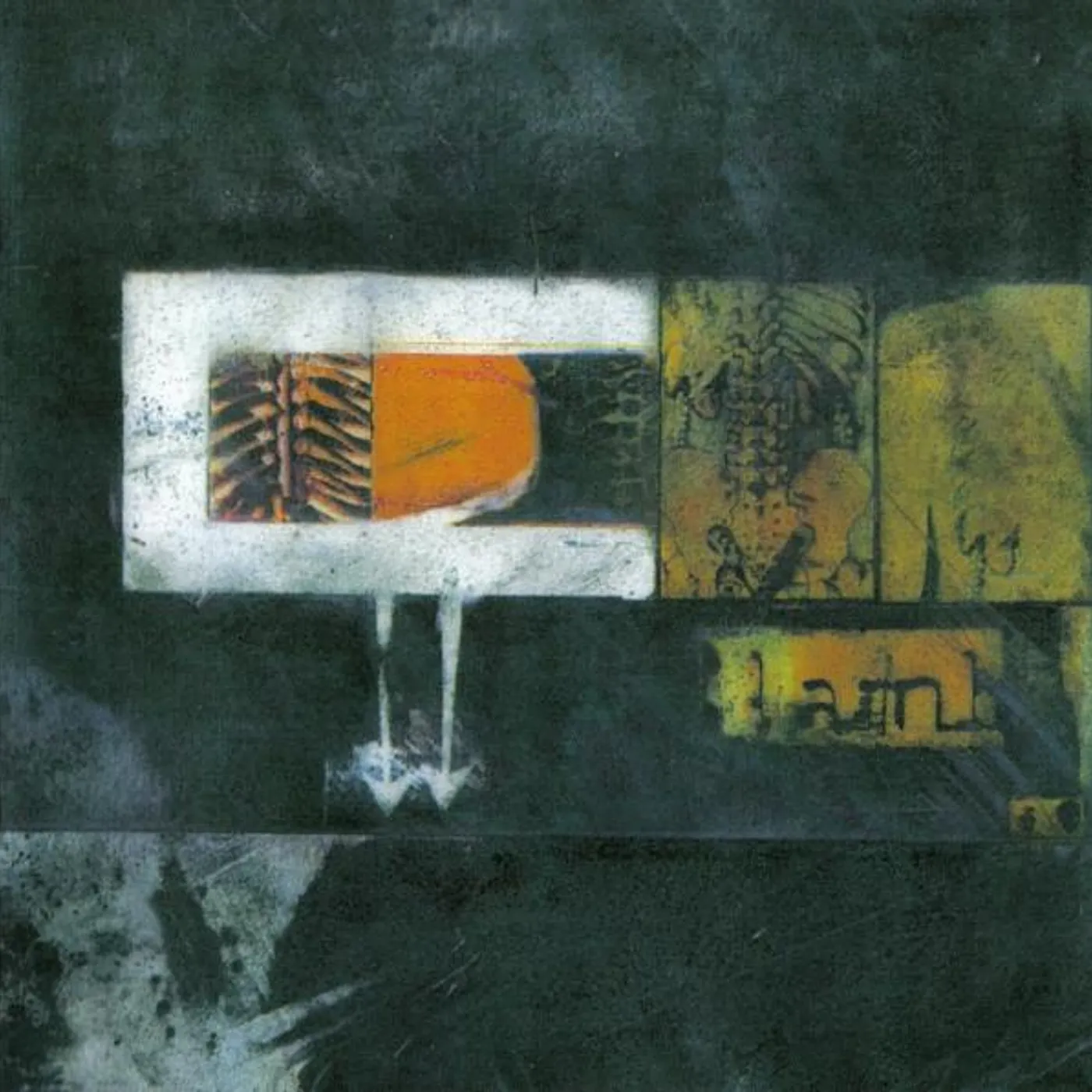 LAMB CD
