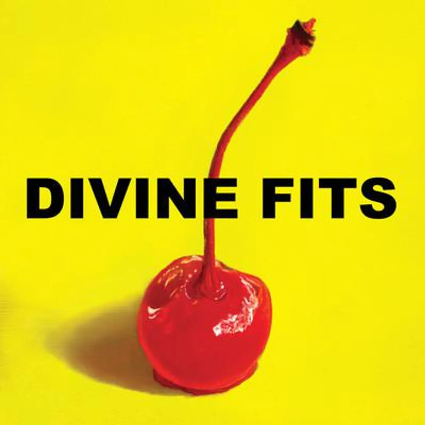 THING CALLED DIVINE FITS Vinyl Record