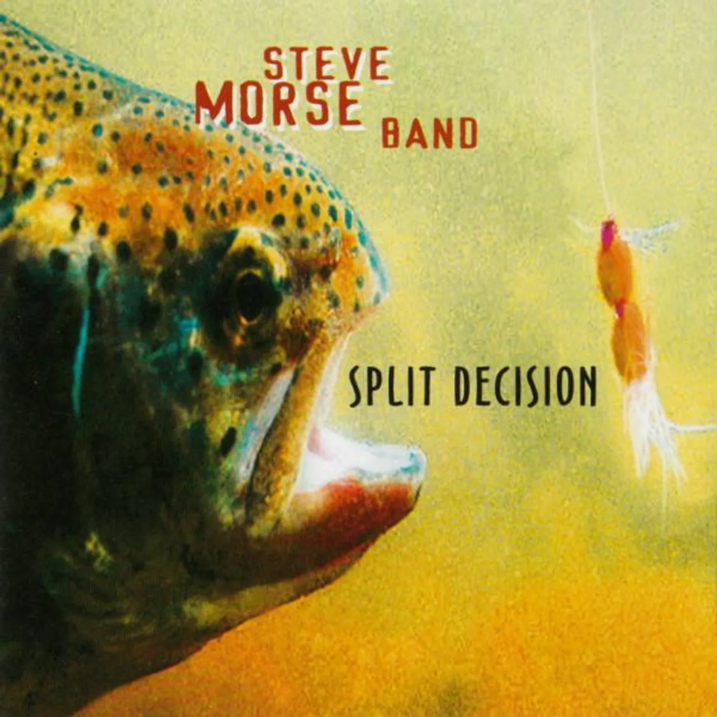 Steve Morse Band SPLIT DECISION CD