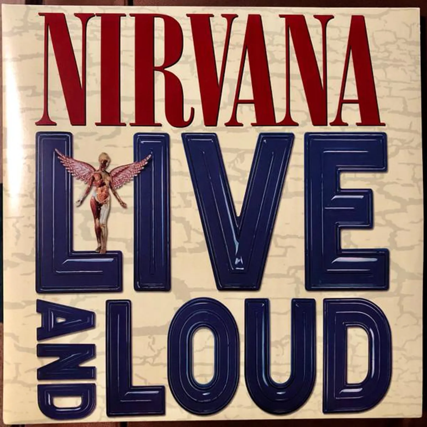 Nirvana LIVE IN THE U.S.A. (2CD) CD
