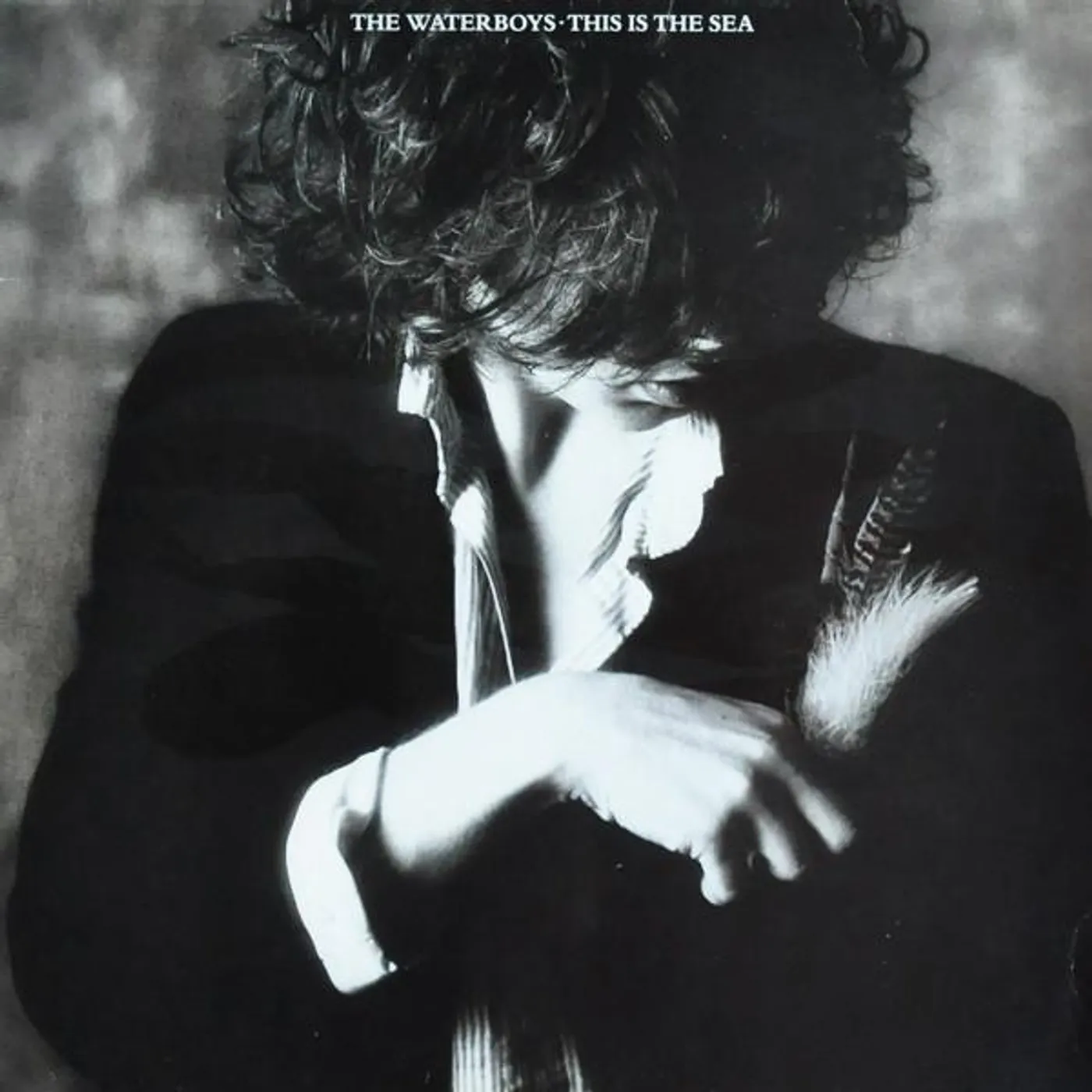 The Waterboys THIS IS THE SEA CD