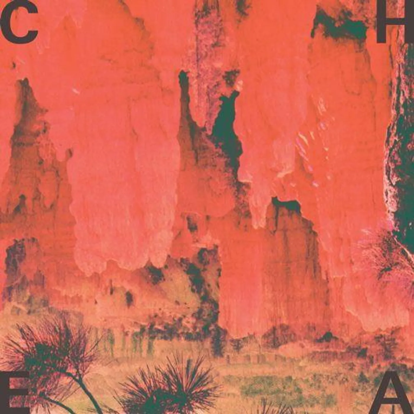 Cheatahs Vinyl Record