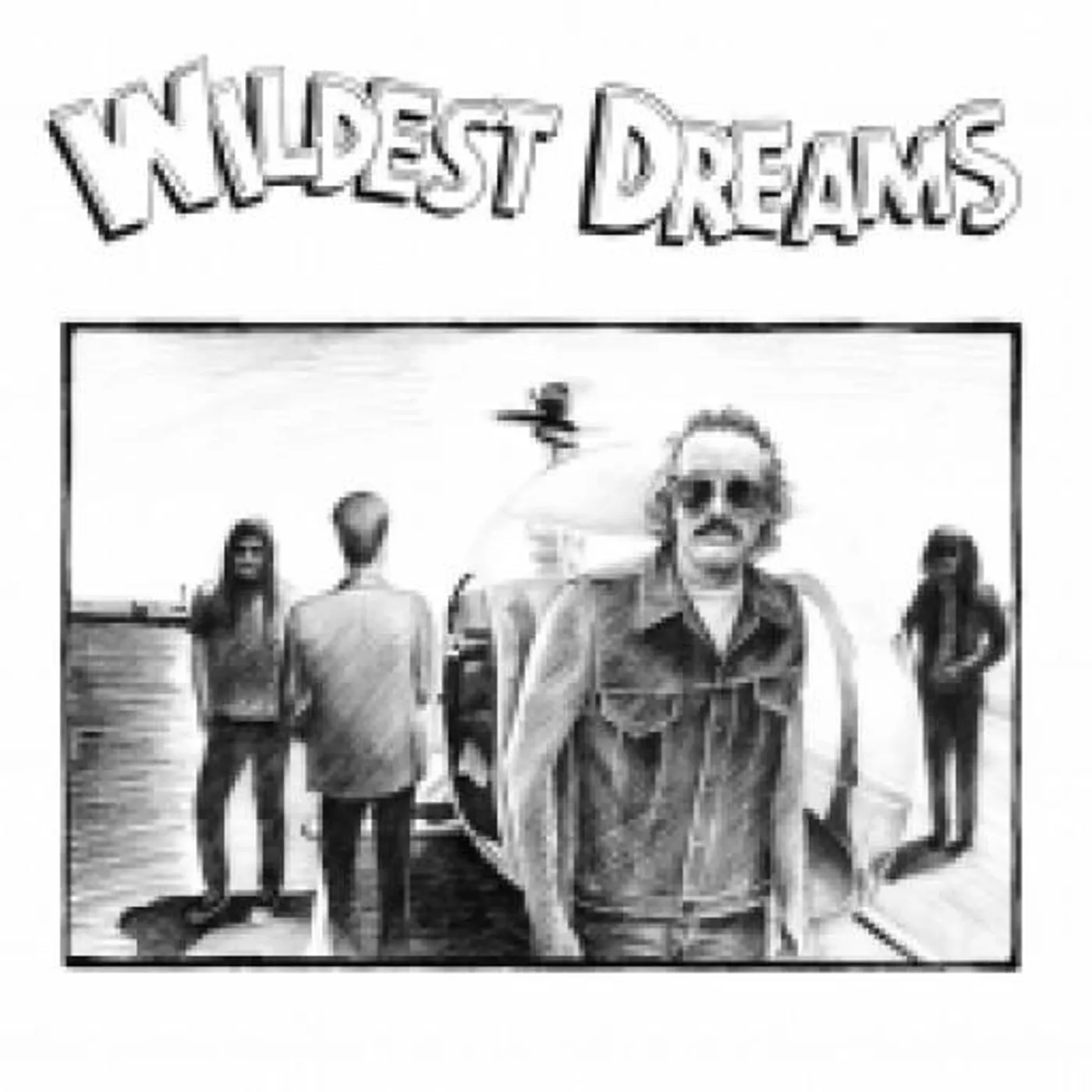 Wildest dreams Vinyl Record