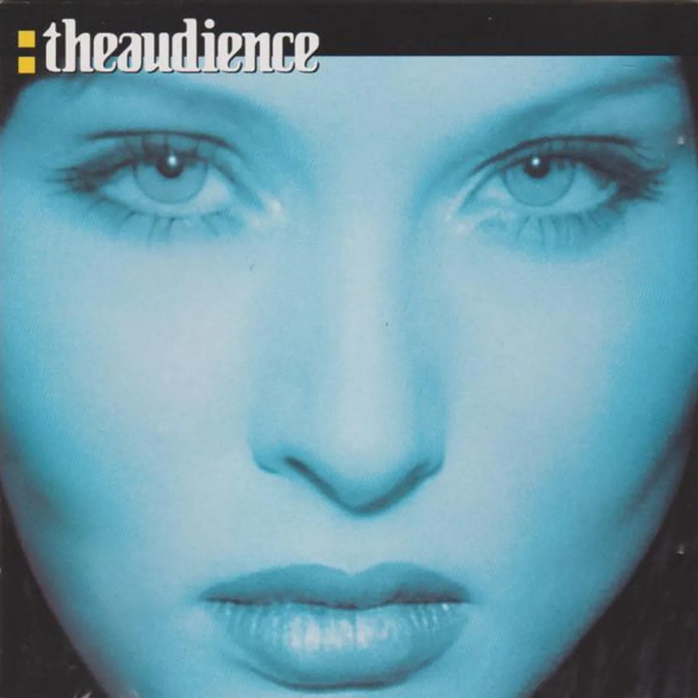 TheAudience Vinyl Record