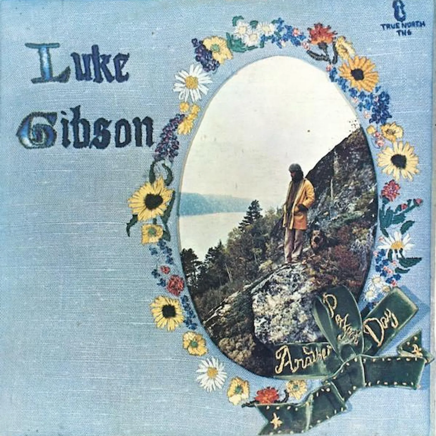 Luke Gibson ANOTHER PERFECT DAY CD