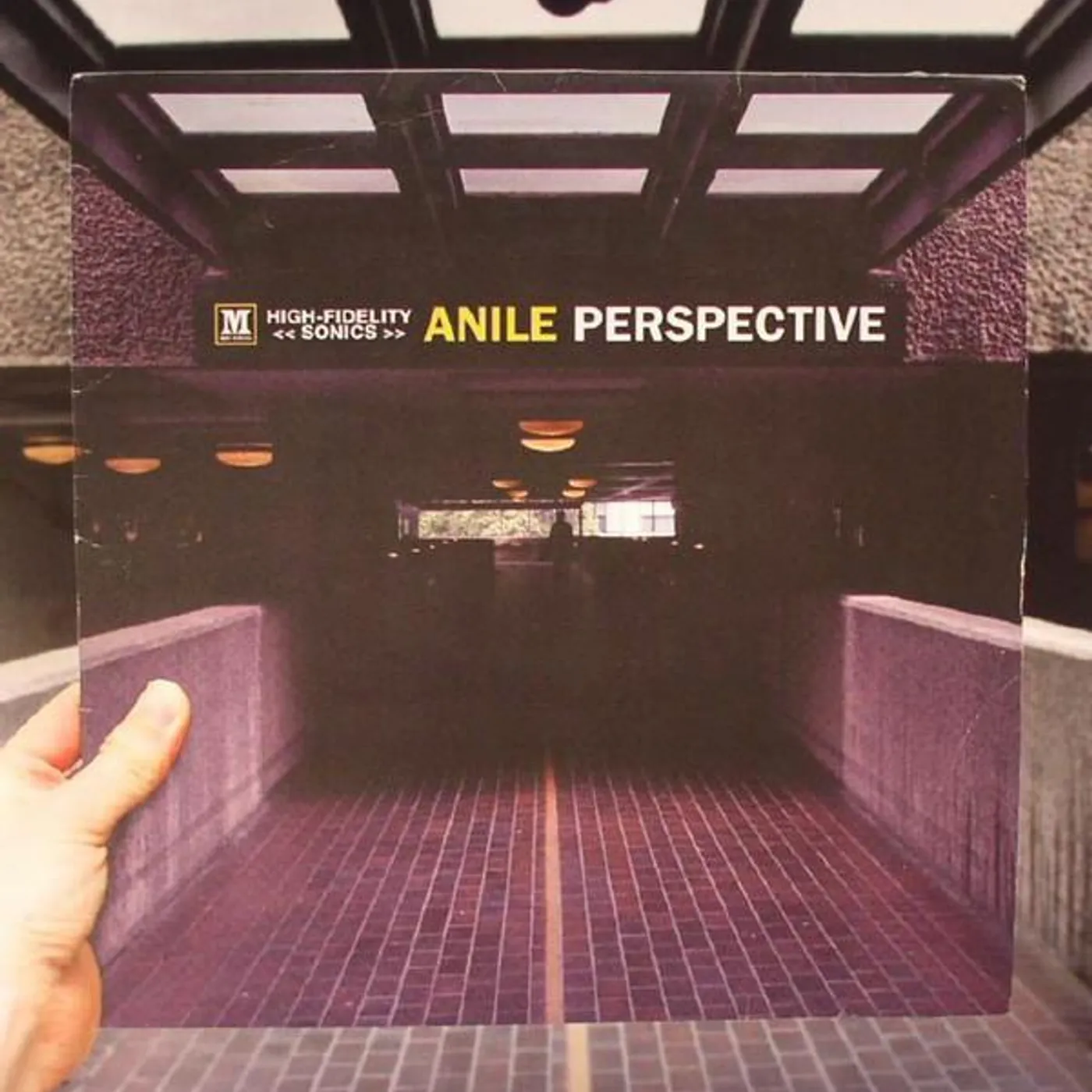 Anile Perspective Vinyl Record