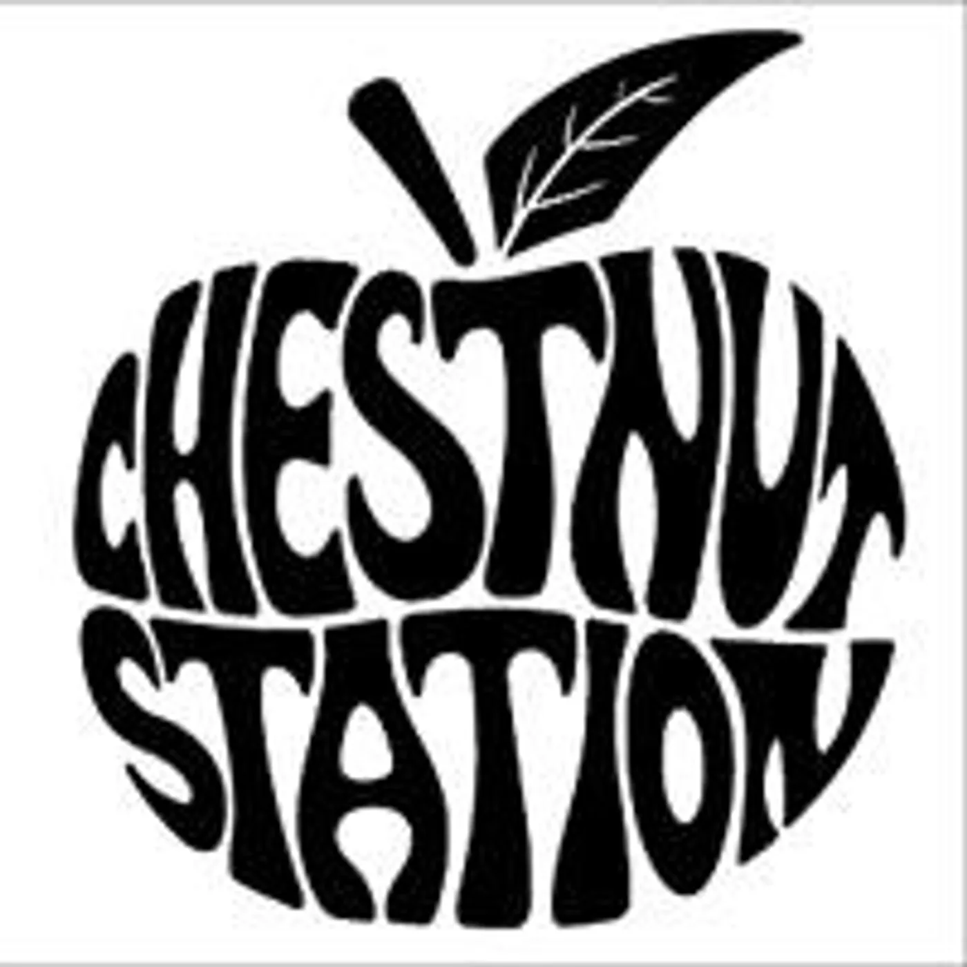 Chestnut Station Vinyl Record