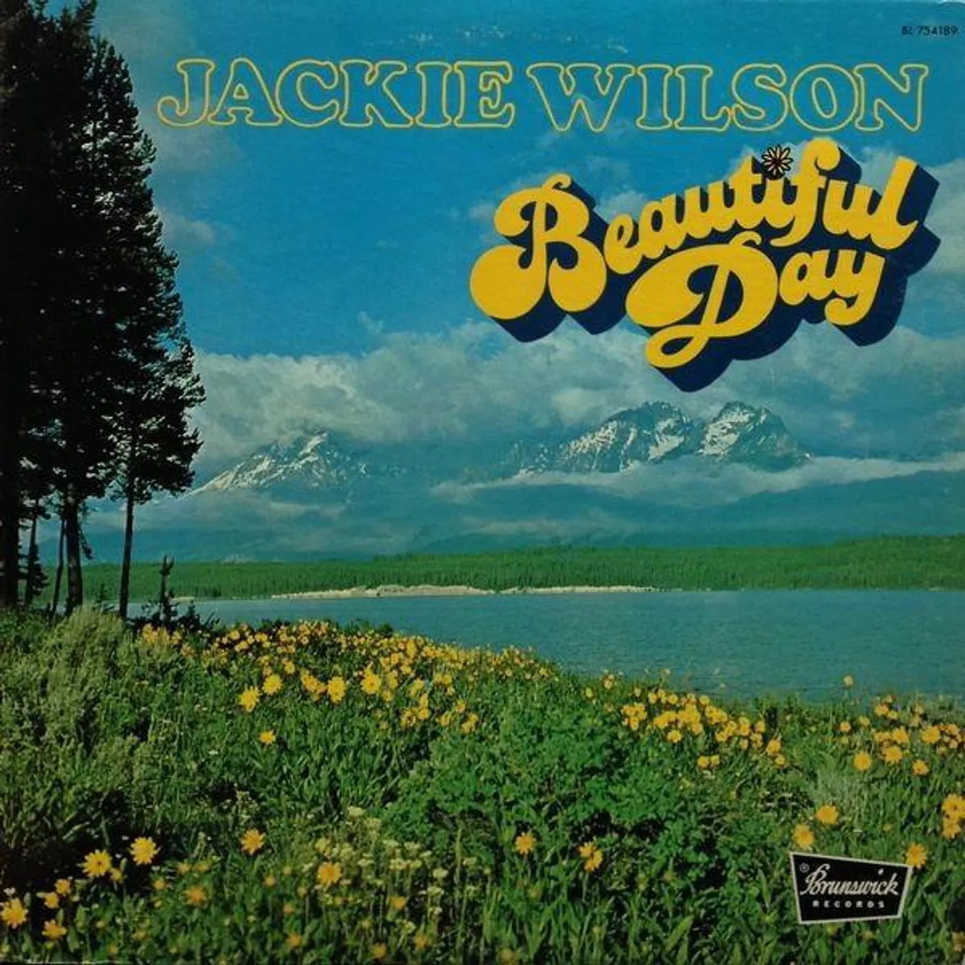 Jackie Wilson BEAUTIFUL DAY CD