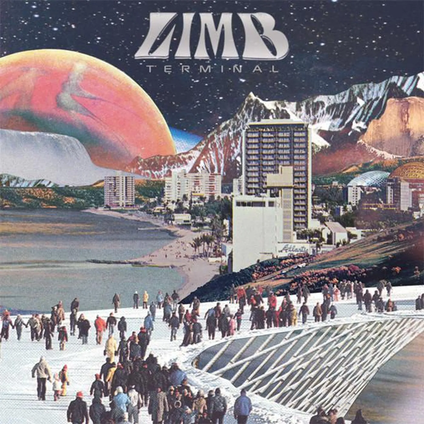 Limb Terminal Vinyl Record