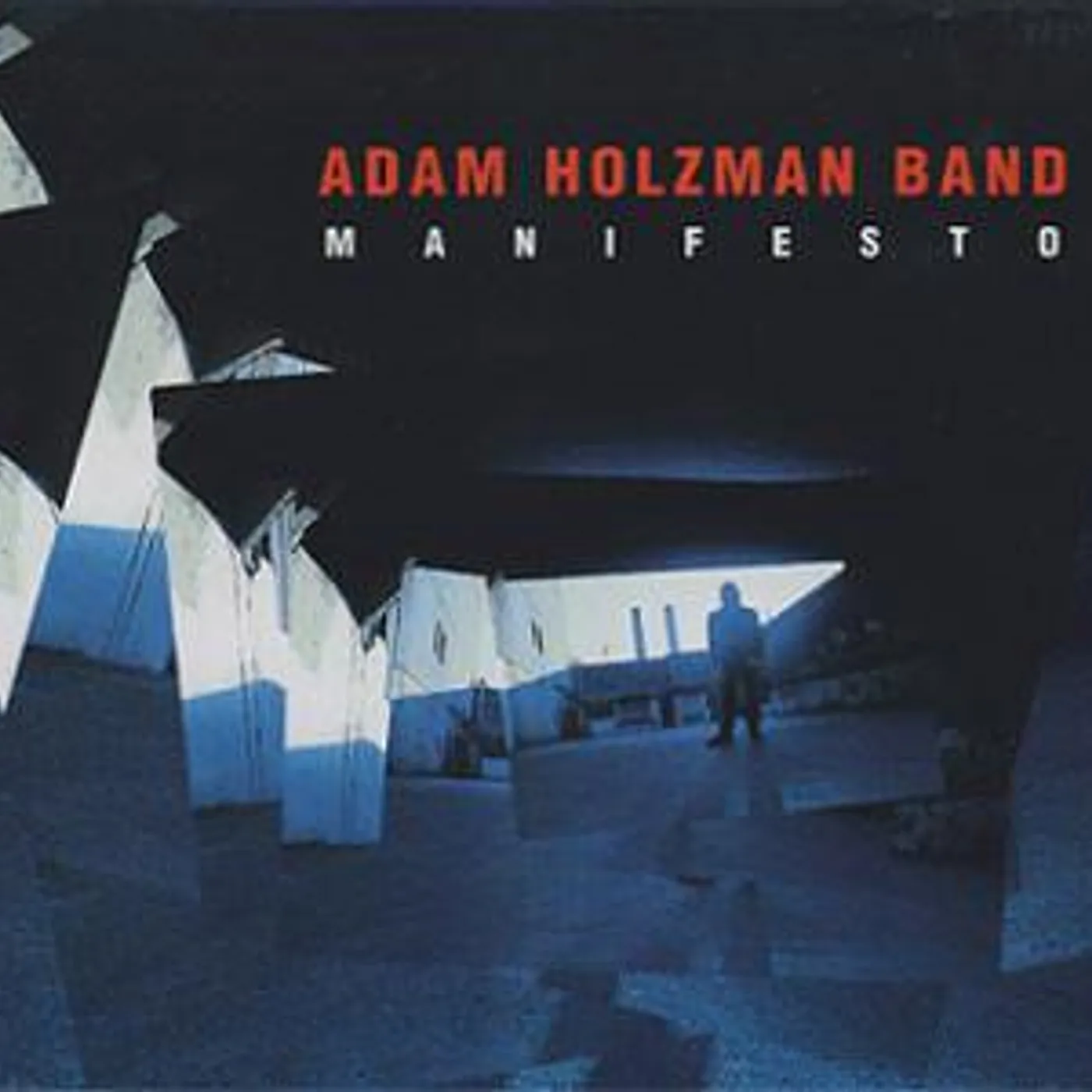 Adam Holzman MANIFESTO CD