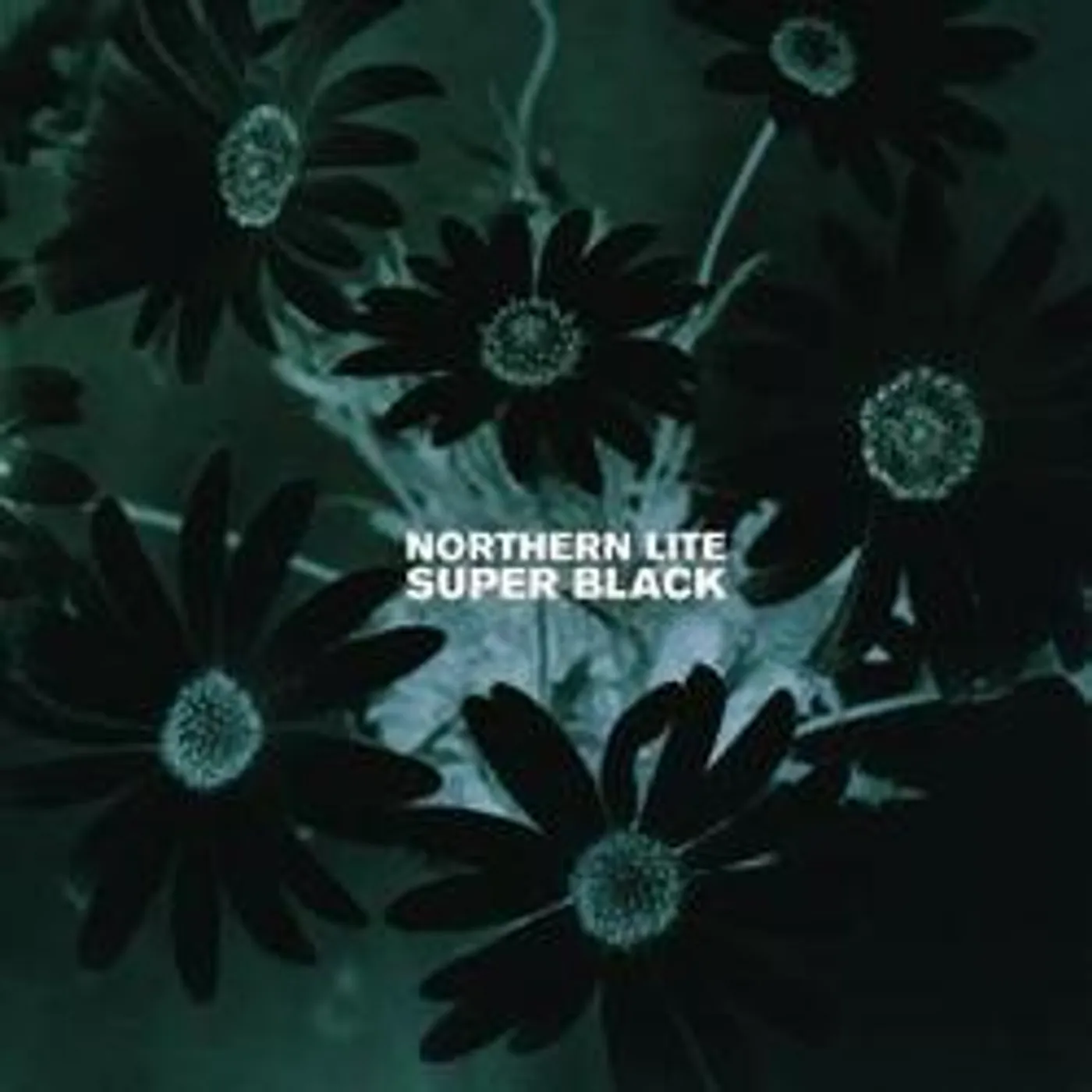 Northern Lite SUPER BLACK Vinyl Record