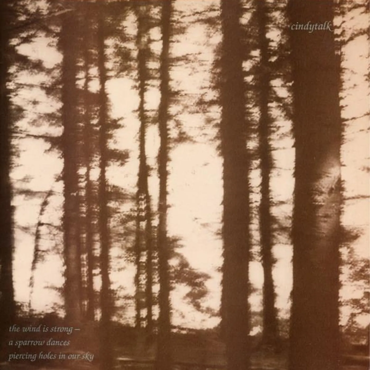 Cindytalk WIND IS STRONG Vinyl Record