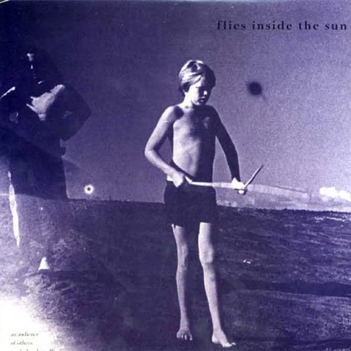 Flies Inside The Sun AN AUDIENCE OF OTHERS Vinyl Record
