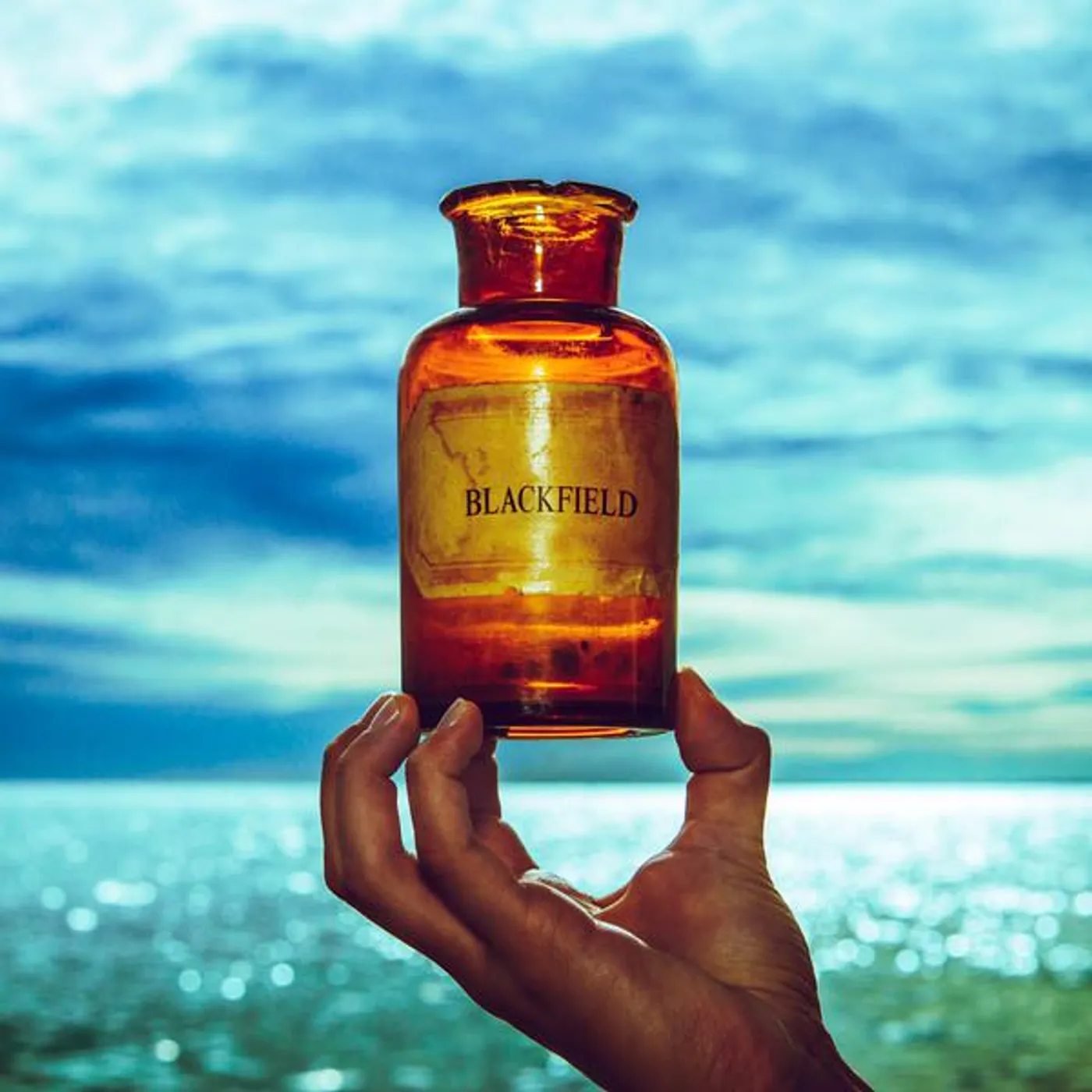Blackfield V Vinyl Record