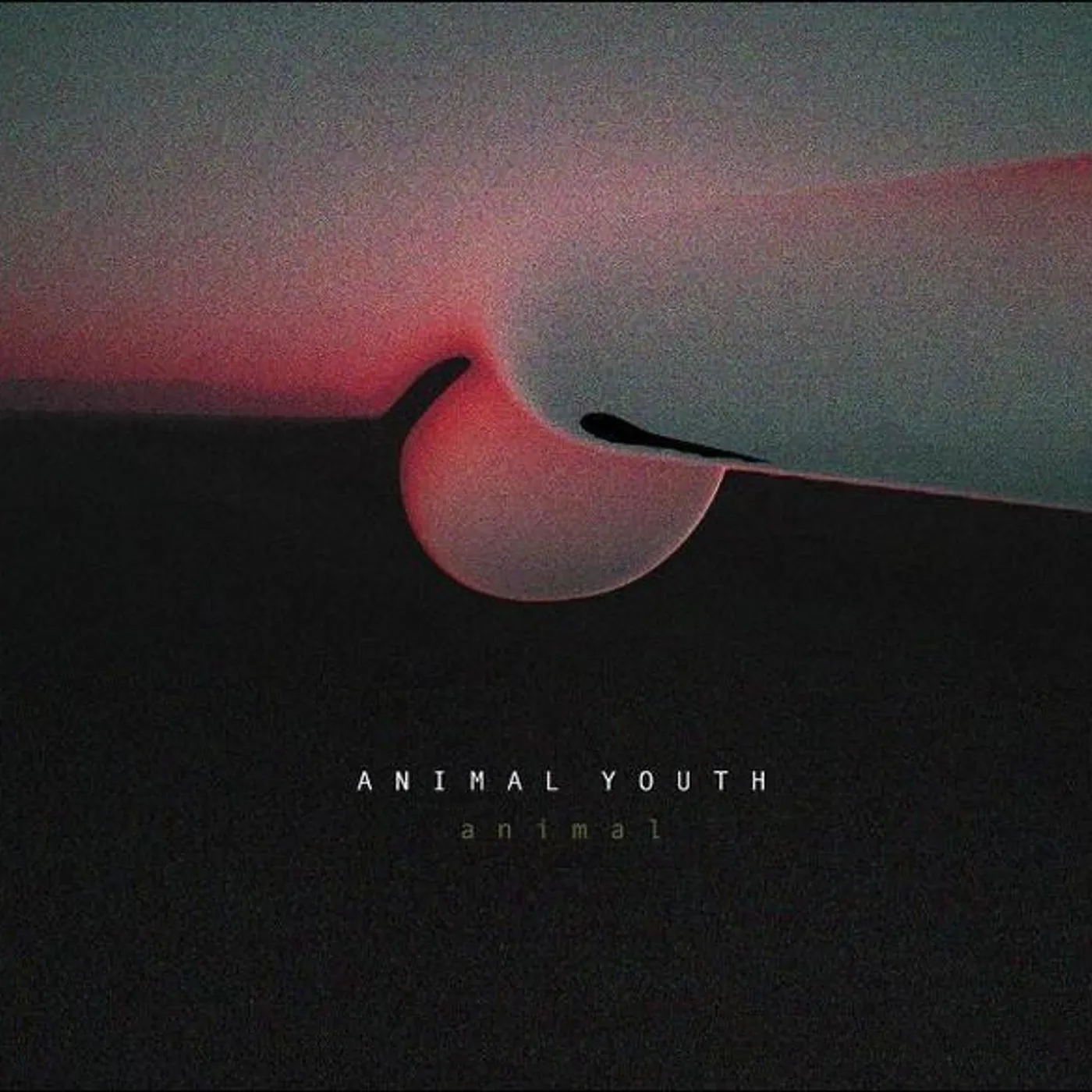 Animal Youth ANIMAL Vinyl Record