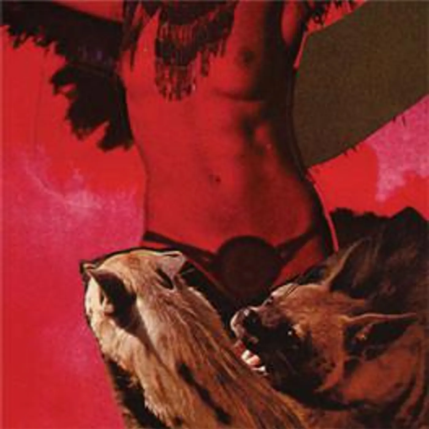 Warlocks HEAVY DEAVY SKULL LOVER CD