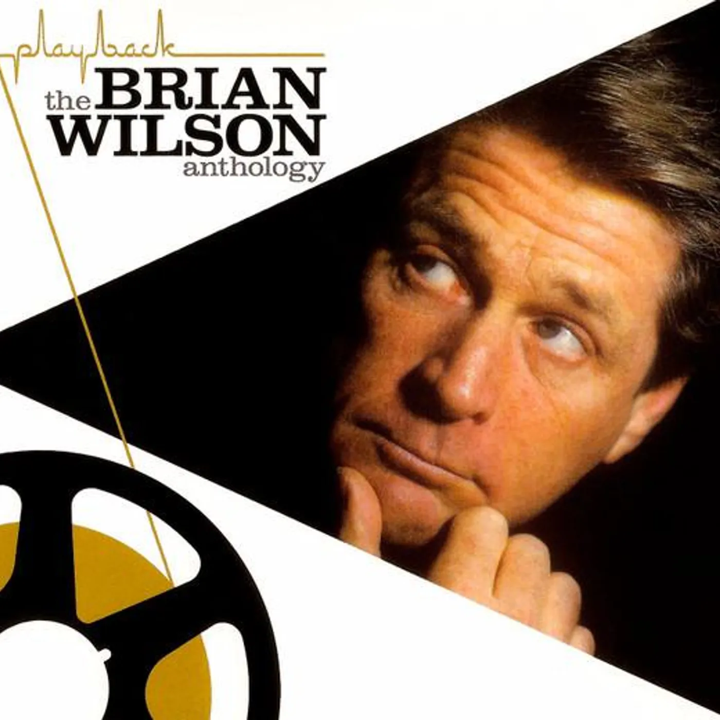 Playback: Brian Wilson Anthology on CD