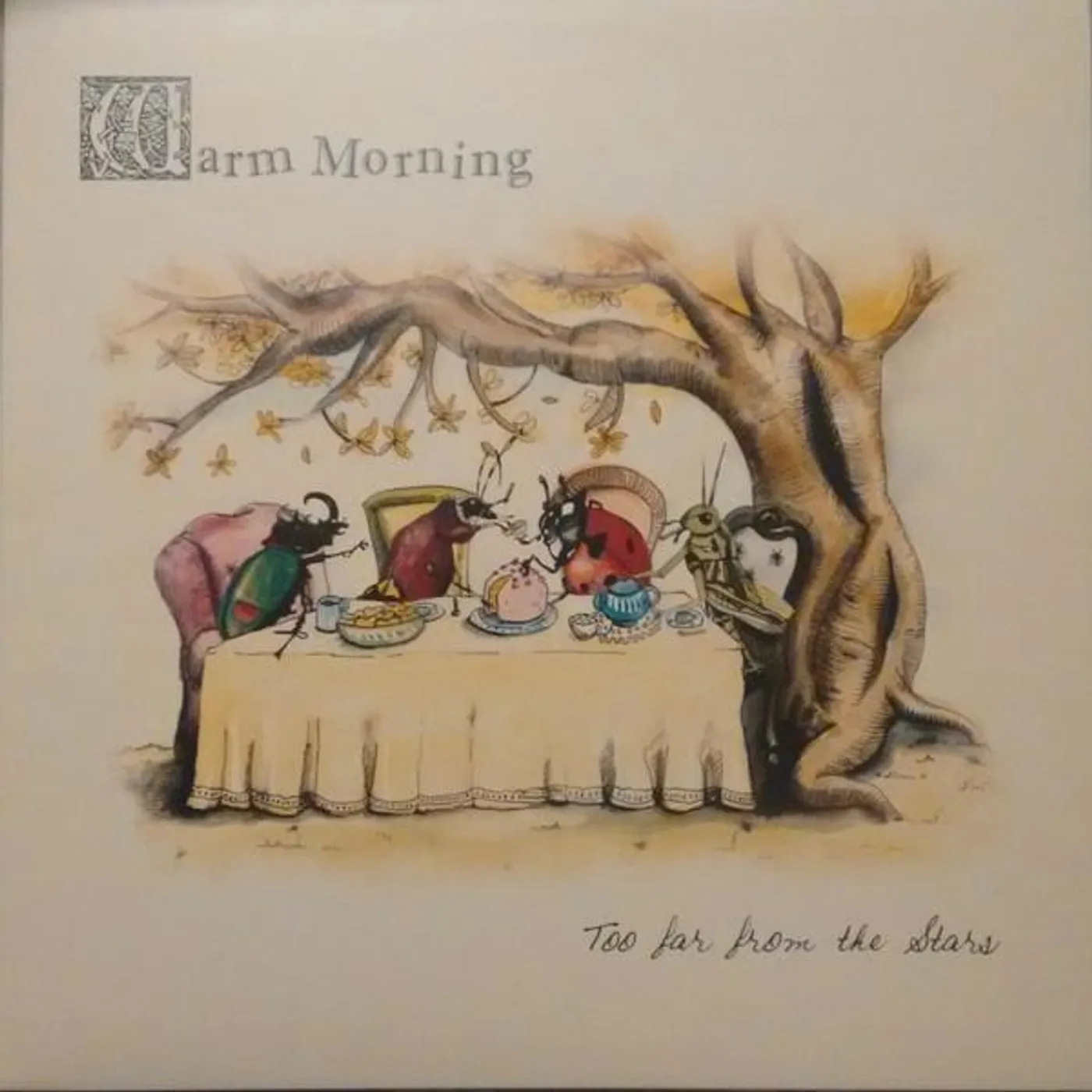 Warm Morning