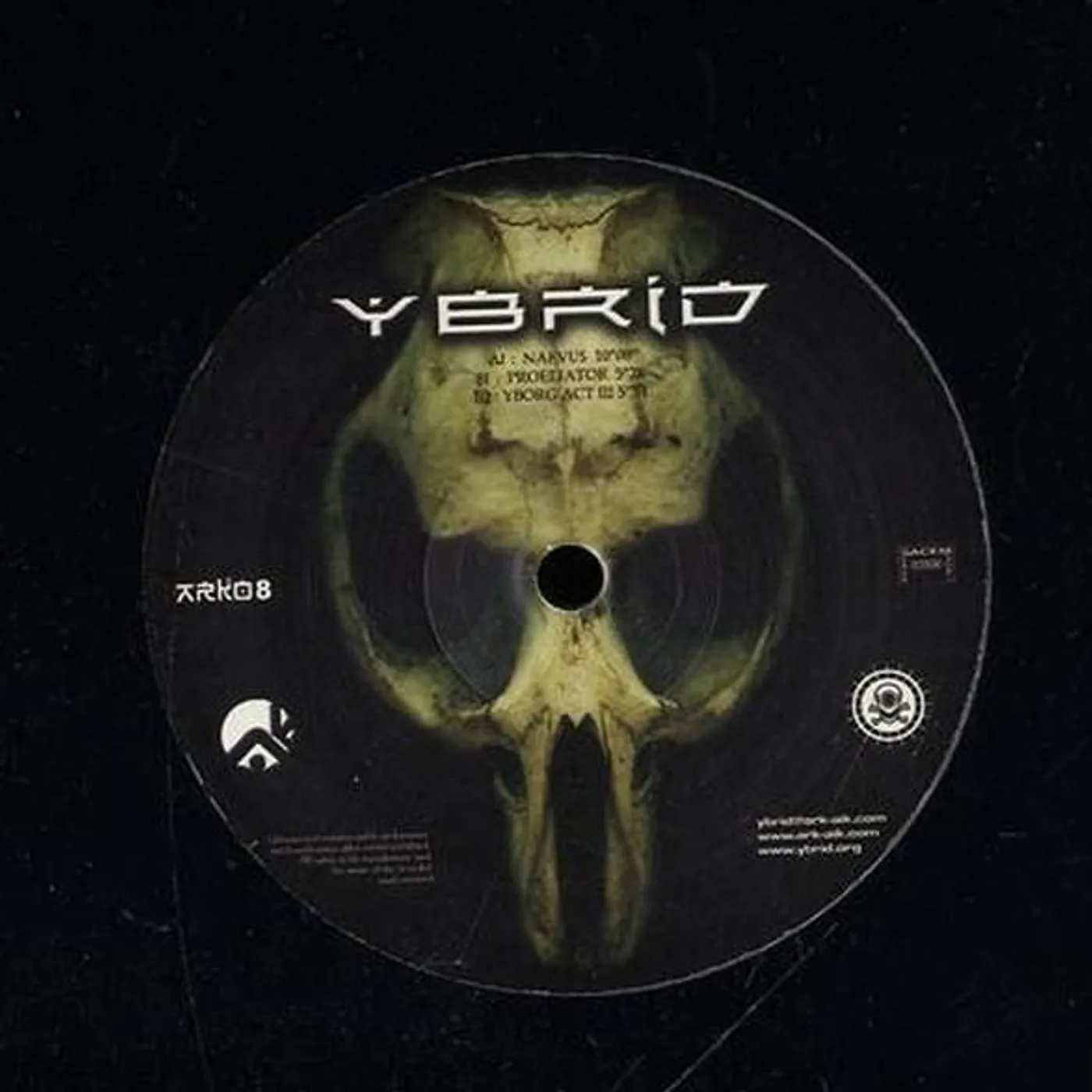 Ybrid NAEVUS Vinyl Record