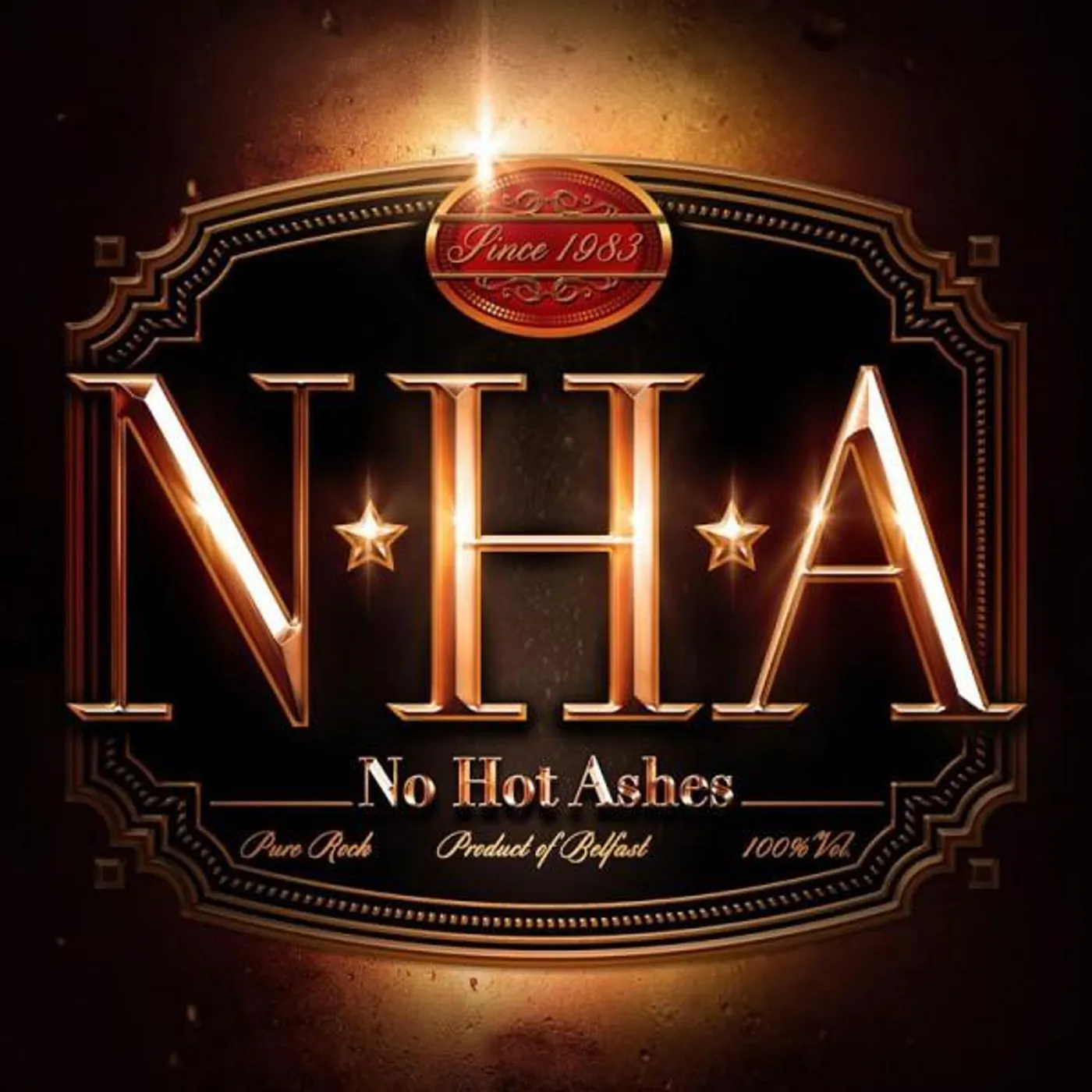 No Hot Ashes Vinyl Record