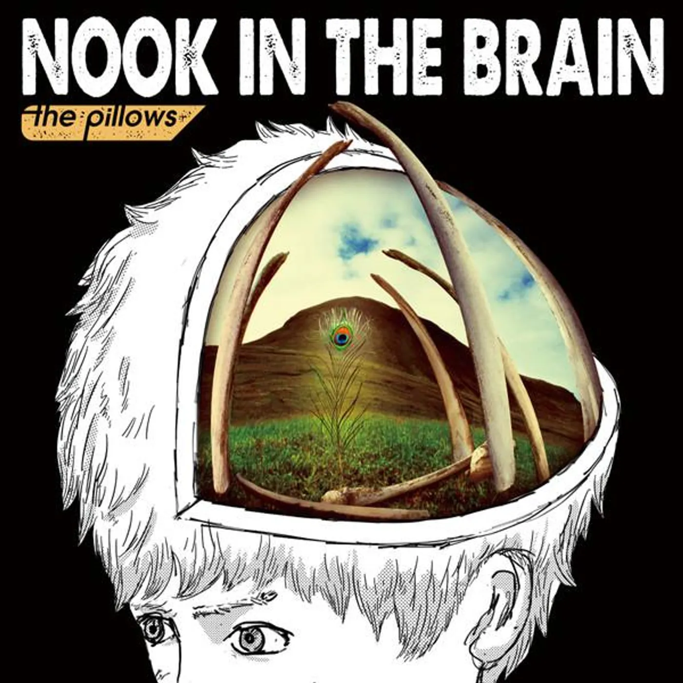 New the pillows NOOK IN THE BRAIN First Limited Edition CD