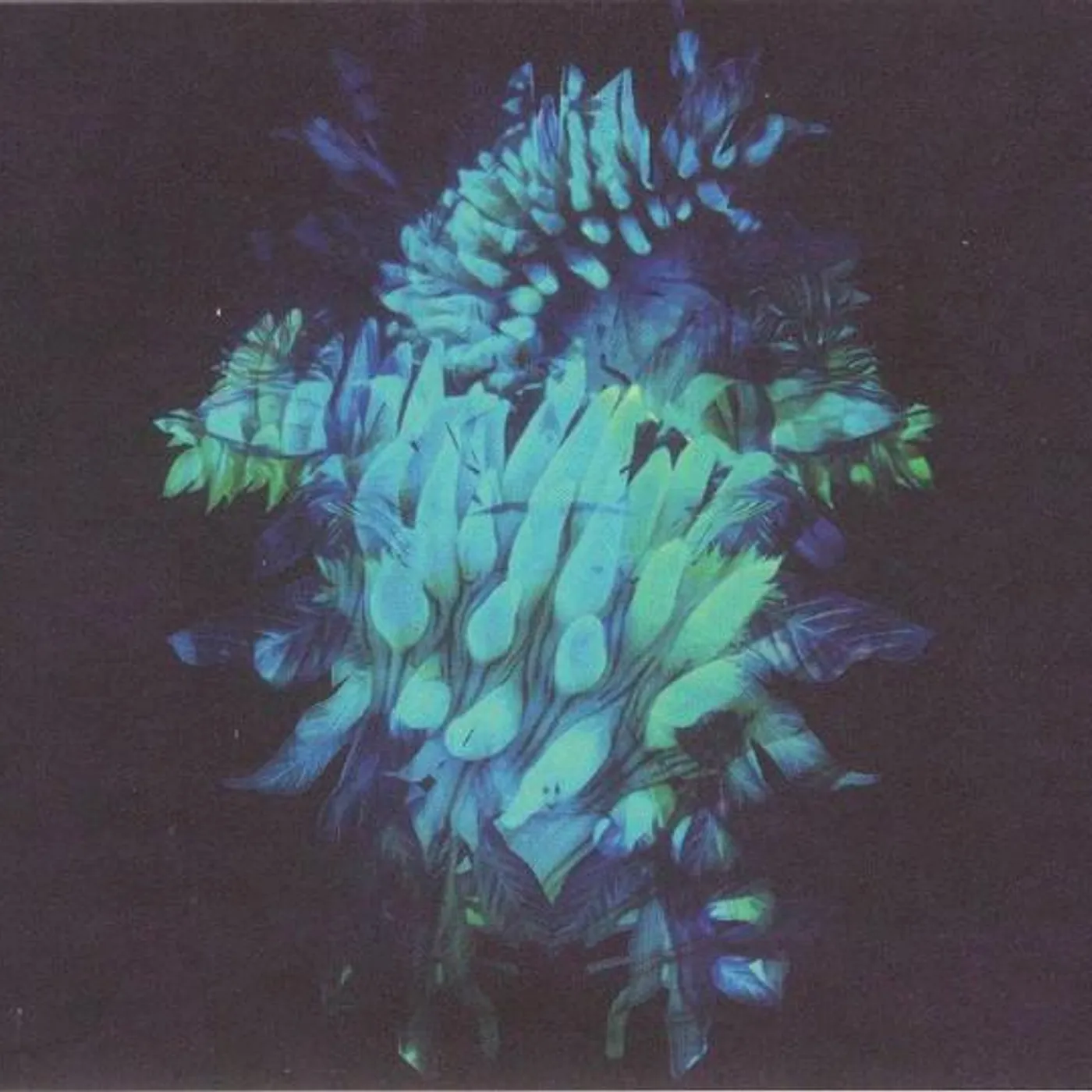Fakear All Glows CD