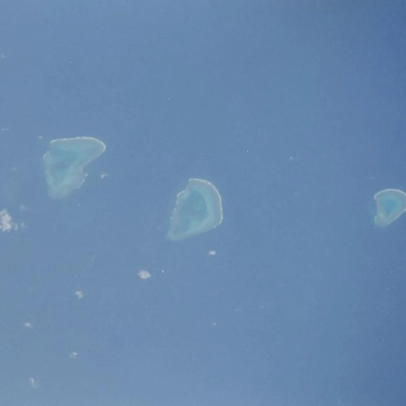Celer CORAL SEA CD