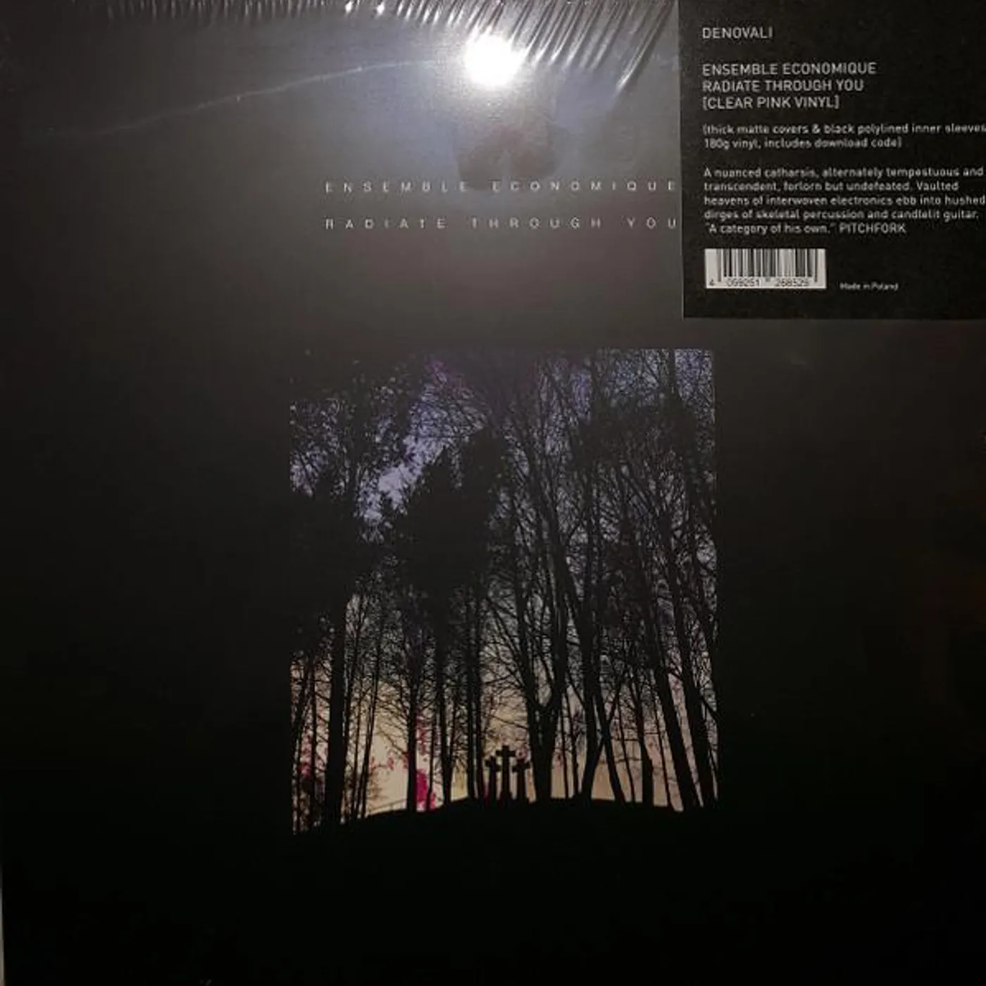 Ensemble Economique RADIATE THROUGH YOU CD
