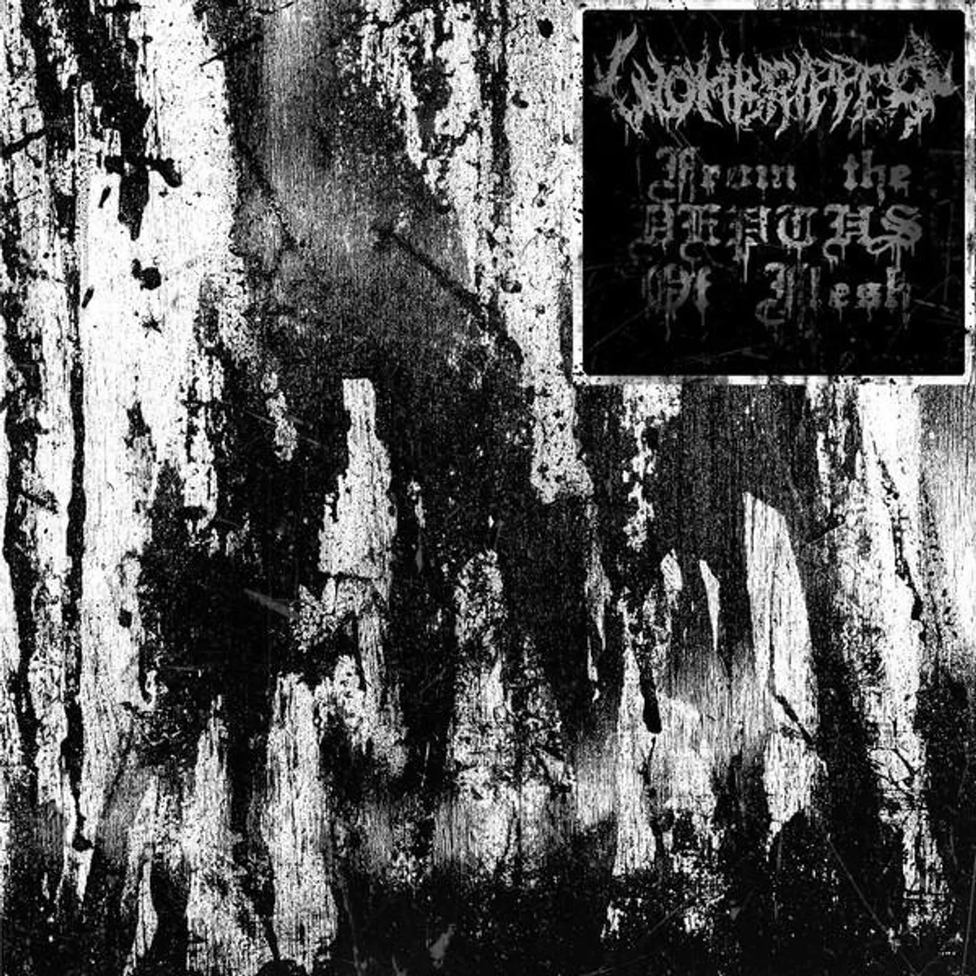 Wombripper FROM THE DEPTHS OF FLESH CD