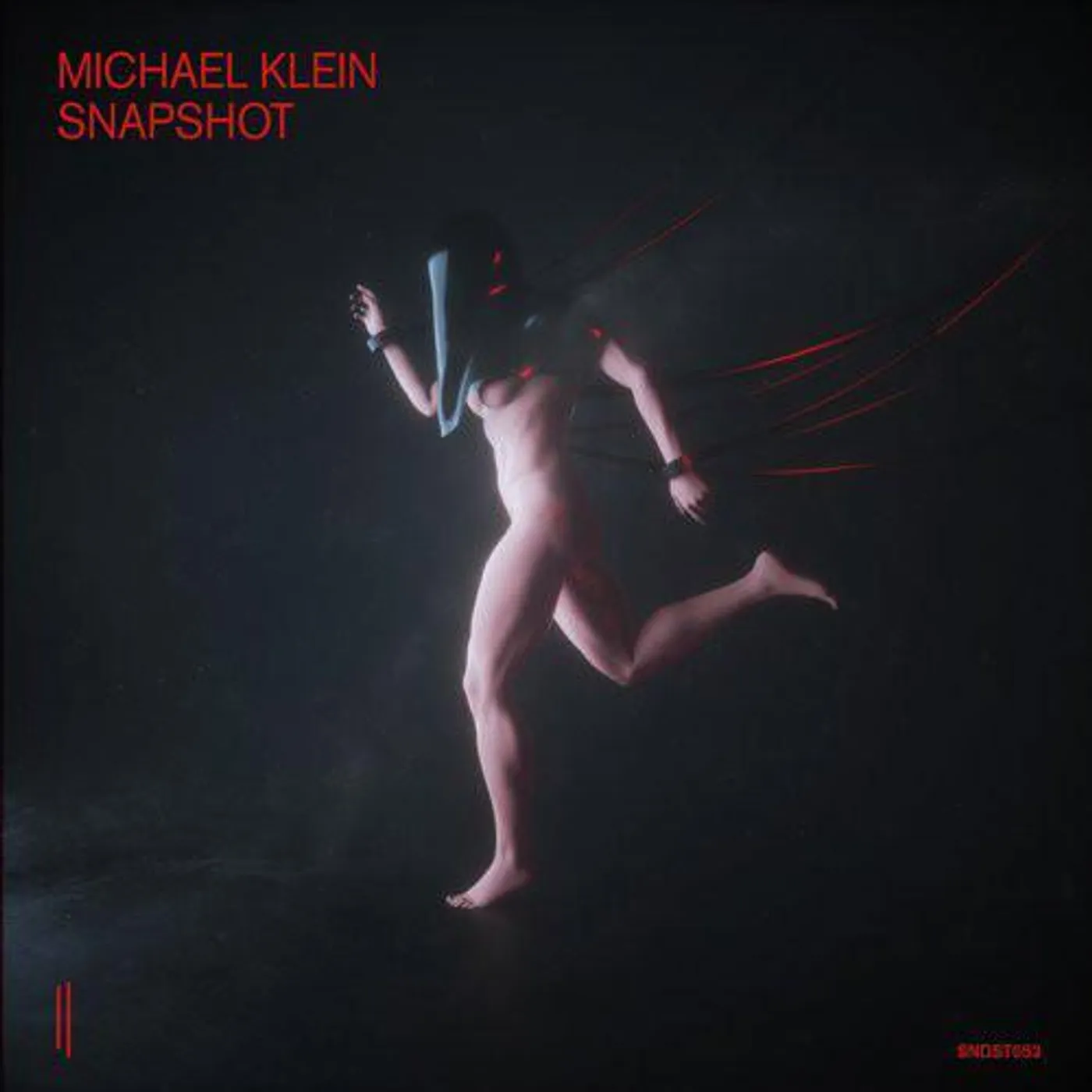 Michael Klein SNAPSHOT Vinyl Record