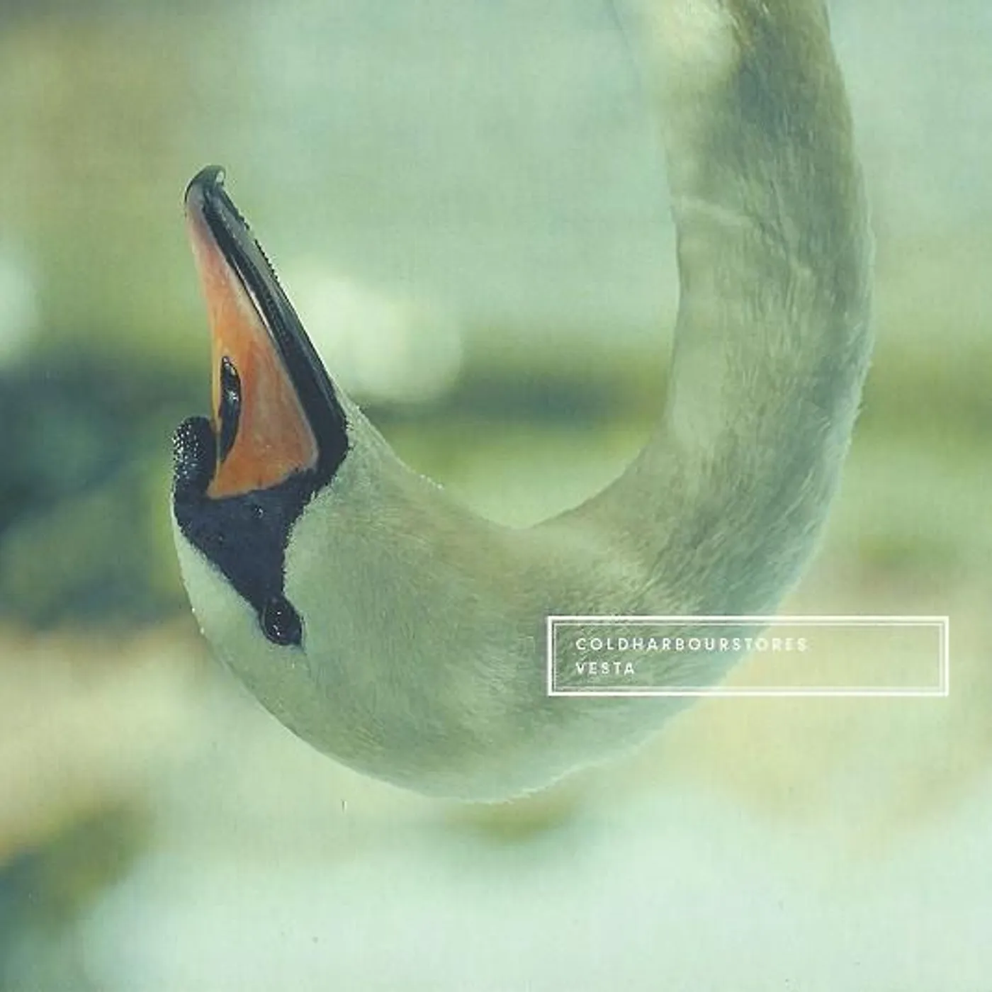 Coldharbourstores Vesta Vinyl Record
