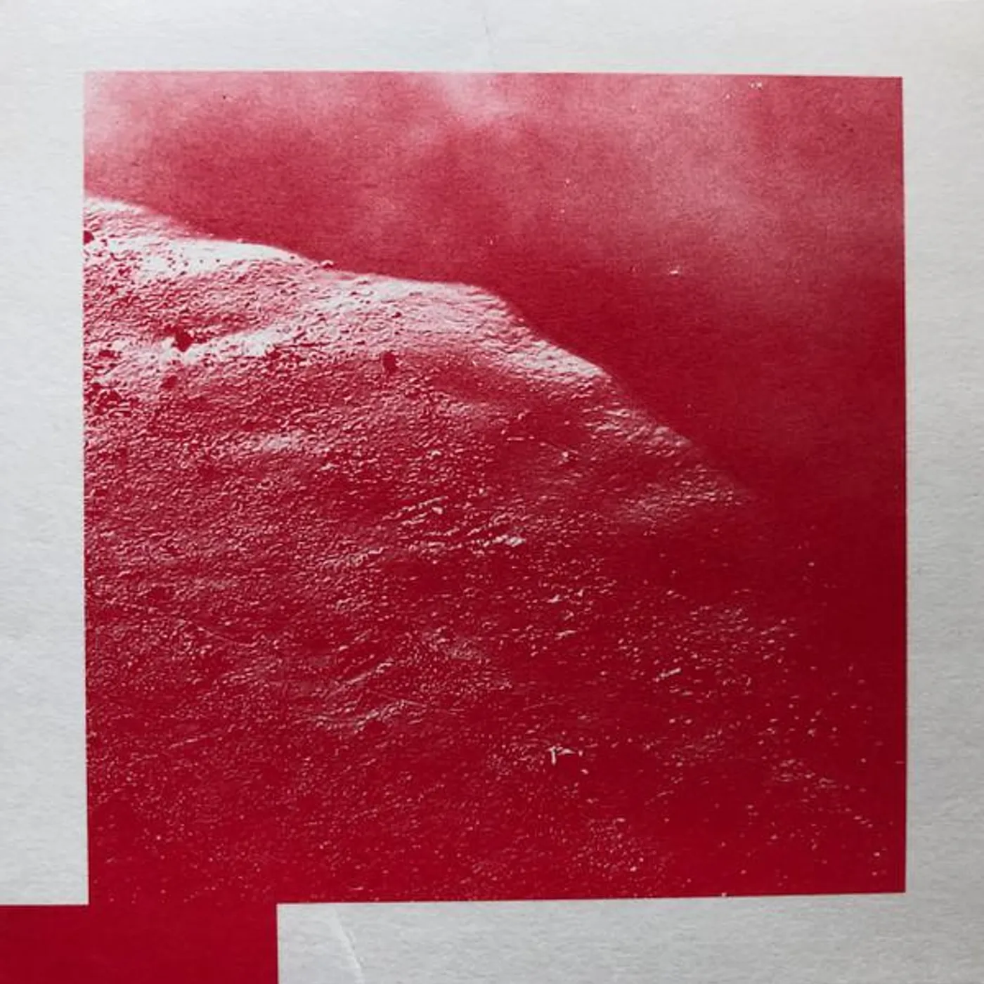 David Allred Cell Vinyl Record