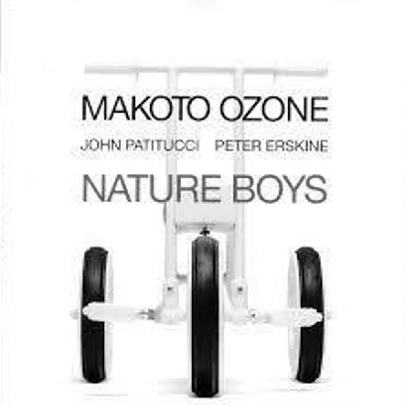 Makoto Ozone NATURE BOYS CD