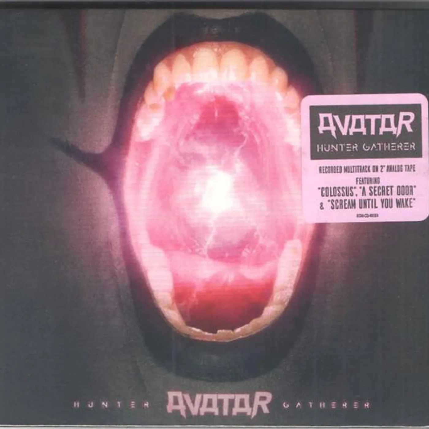 Avatar HUNTER GATHERER Vinyl Record
