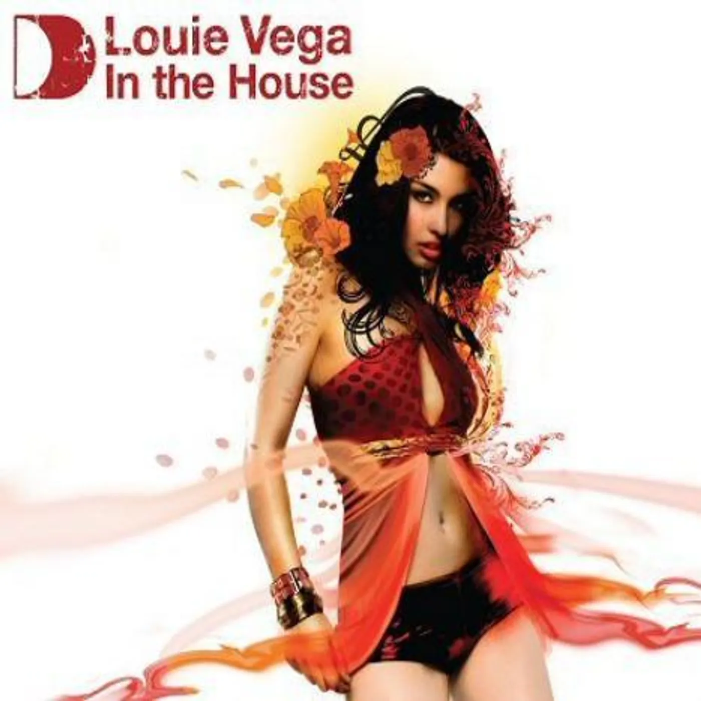 LOUIE VEGA IN THE HOUSE Vinyl Record