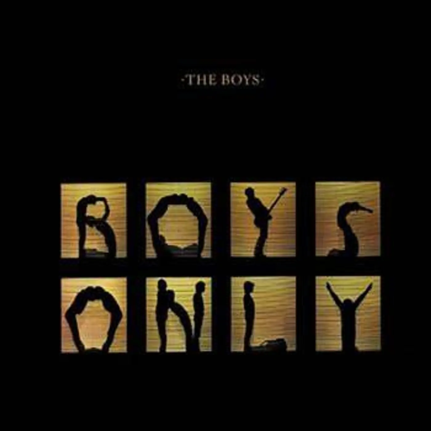 BOYS ONLY Vinyl Record