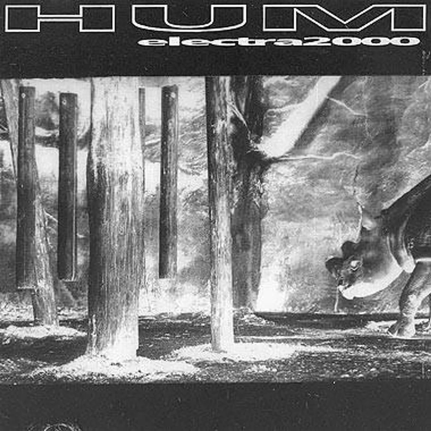 Hum ELECTRA 2000 CD