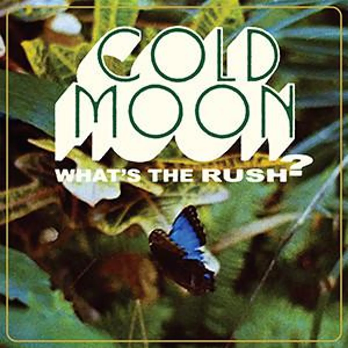 Cold Moon WHAT'S THE RUSH CD