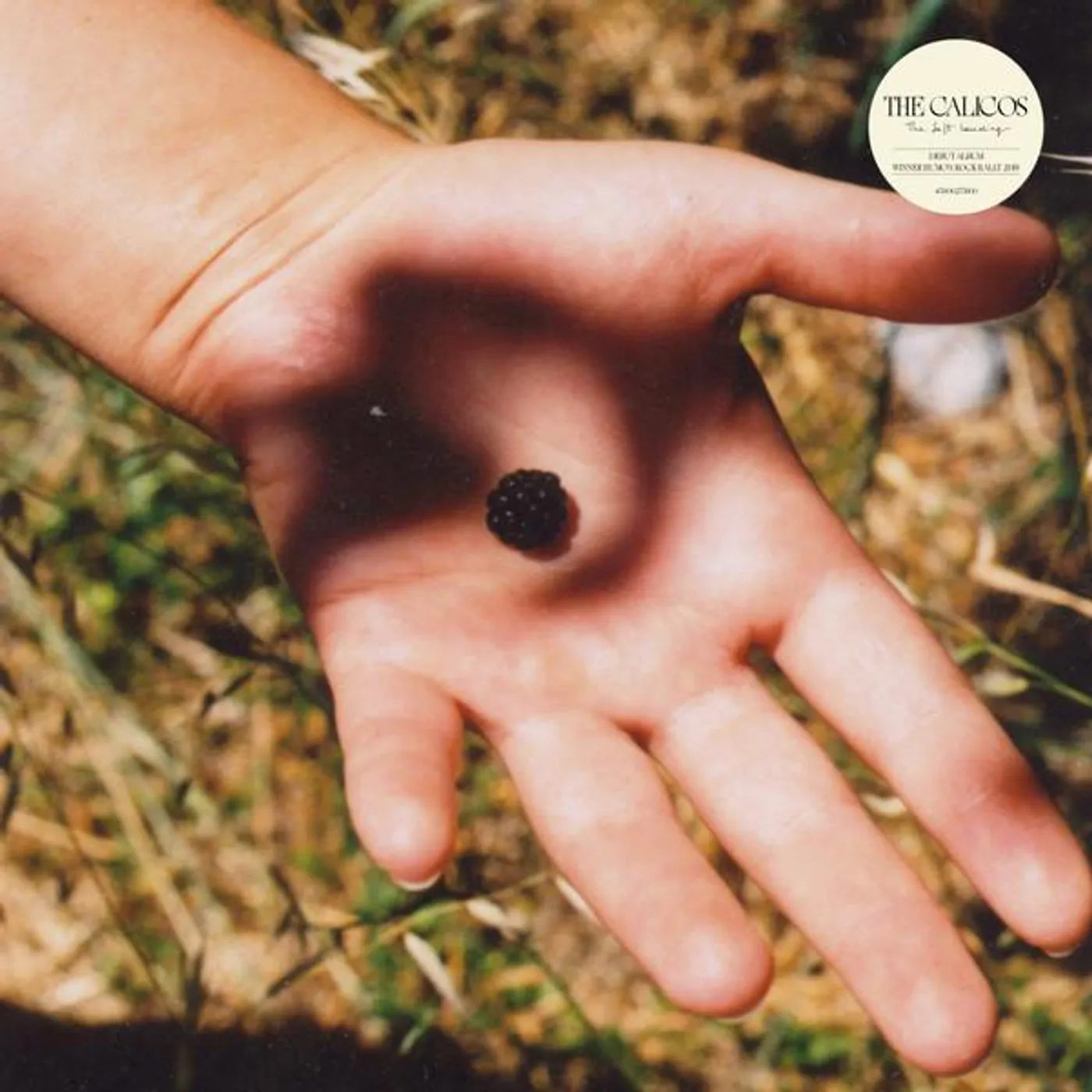 Calicos SOFT LANDING CD