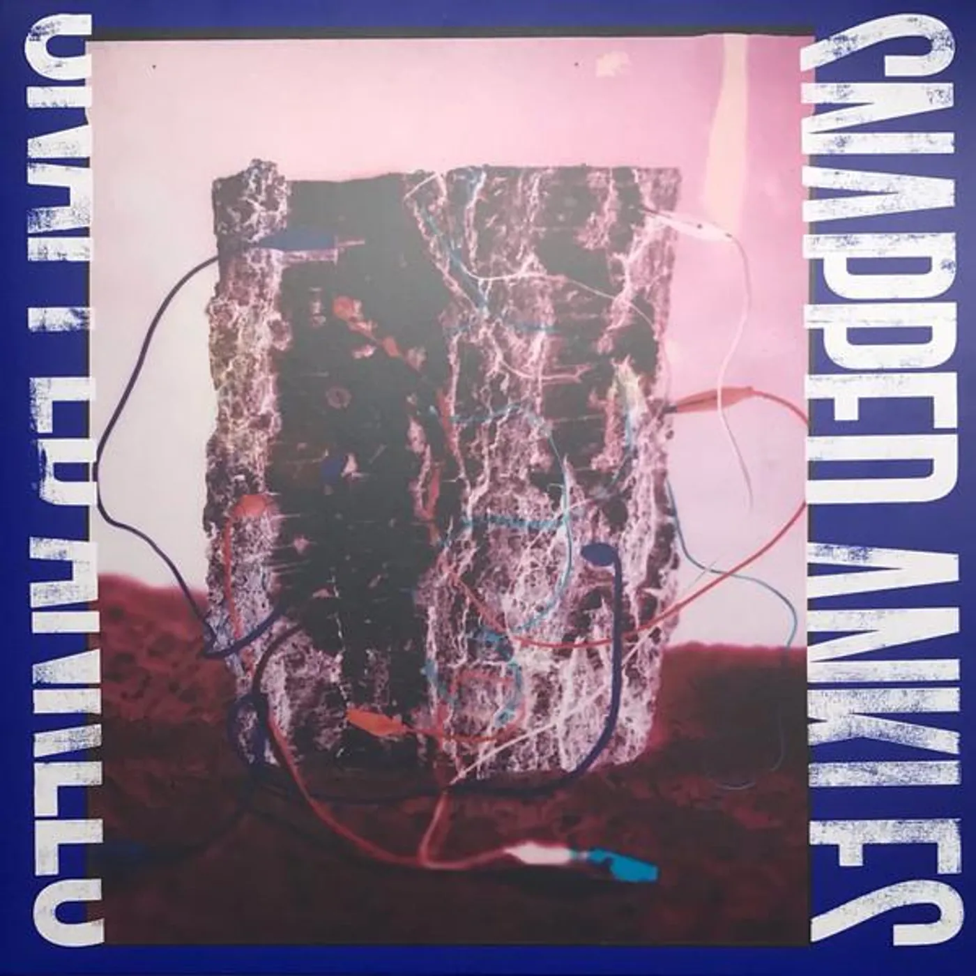 Snapped Ankles FOREST OF YOUR PROBLEMS Vinyl Record