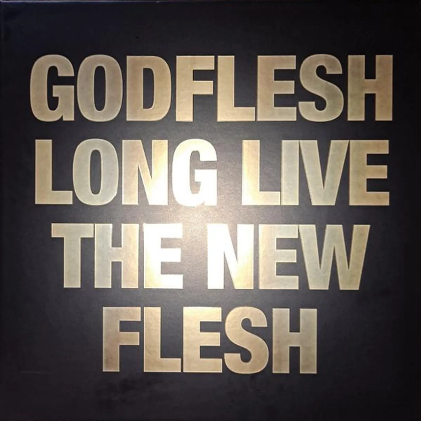 Godflesh LONG LIVE THE NEW FLESH CD