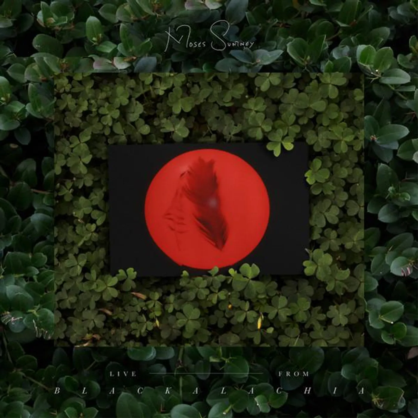 Moses Sumney Live From Blackalachia (2LP/Opaque Red) Vinyl Record