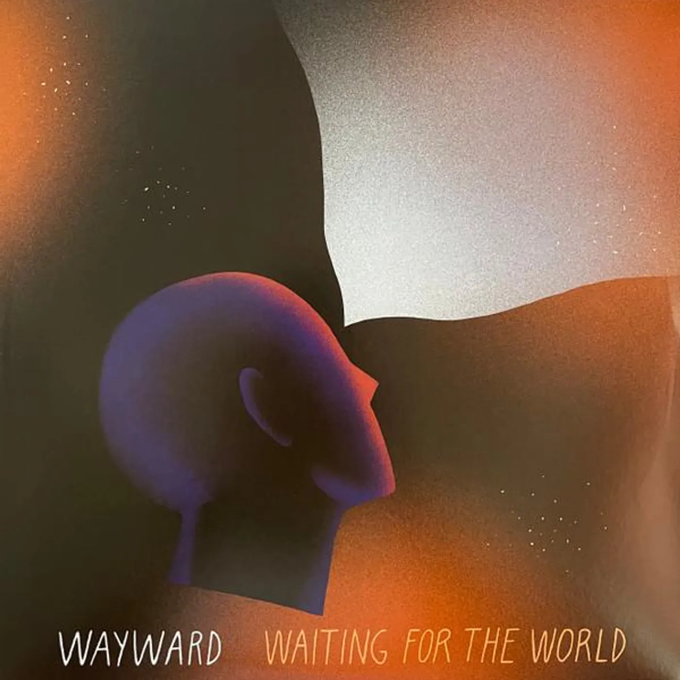 Wayward Waiting For The World Vinyl Record