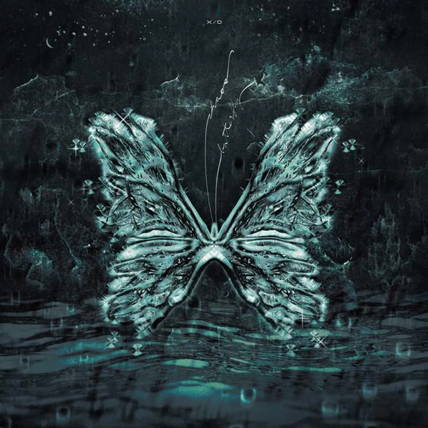 x/o Chaos Butterfly Vinyl Record